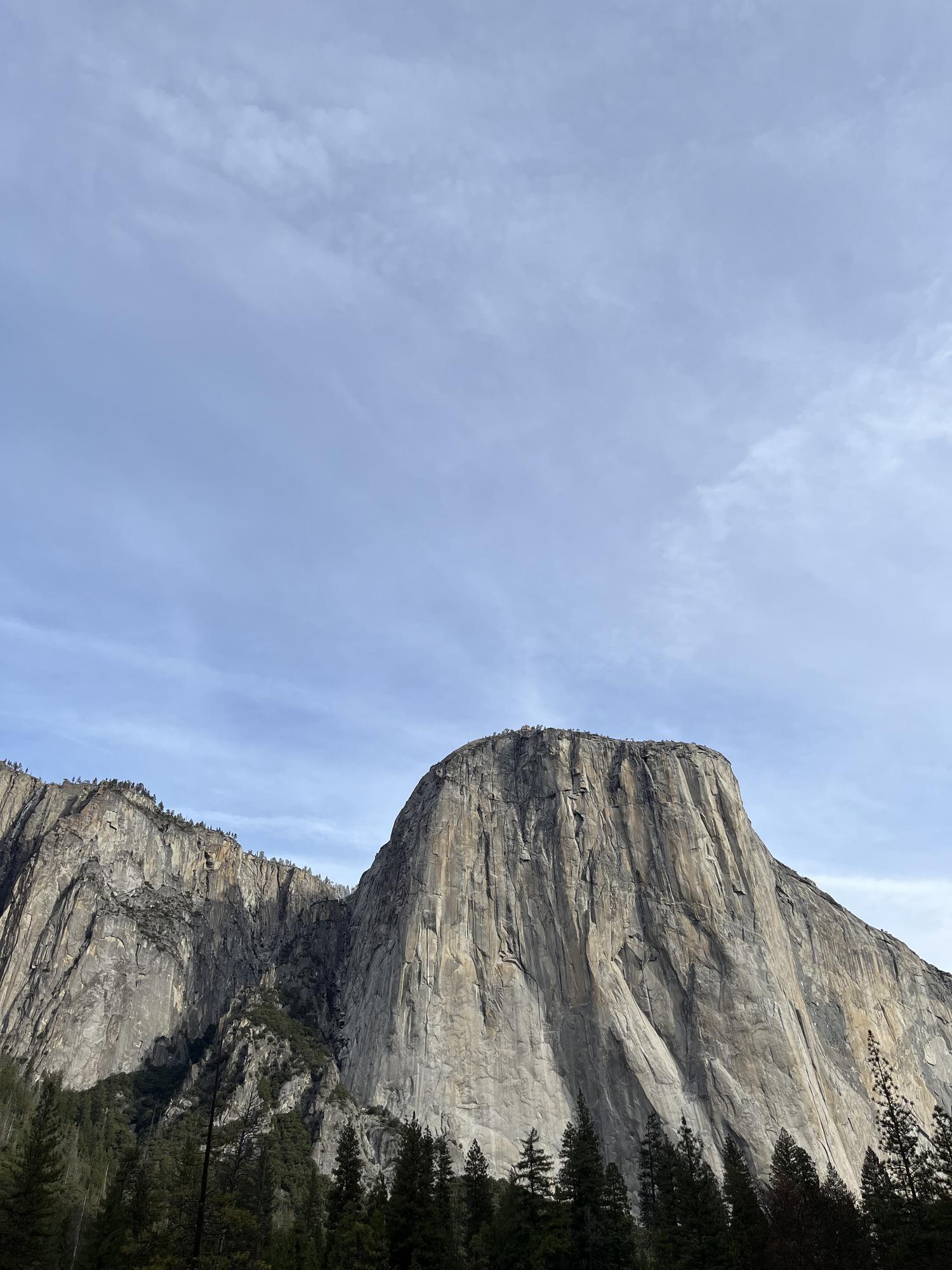 The granite face of El Capitan in Yosemite Valley